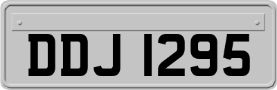 DDJ1295
