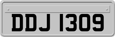 DDJ1309
