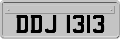 DDJ1313