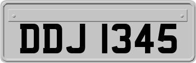DDJ1345