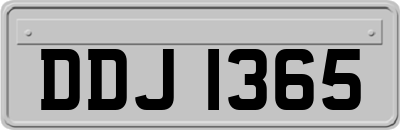 DDJ1365
