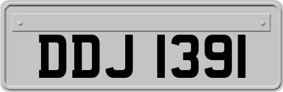 DDJ1391