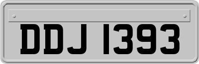 DDJ1393