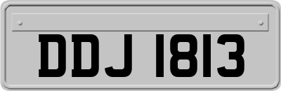 DDJ1813