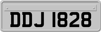DDJ1828