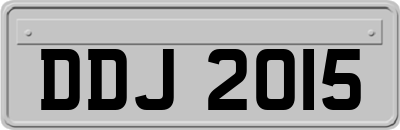 DDJ2015