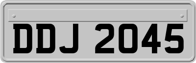 DDJ2045