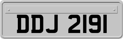 DDJ2191