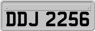 DDJ2256