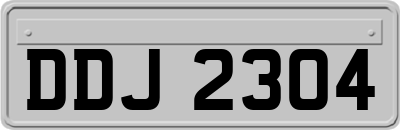 DDJ2304