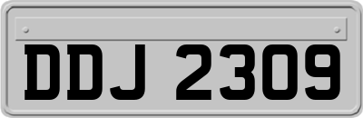DDJ2309