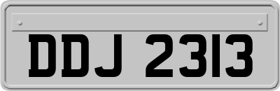 DDJ2313
