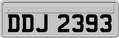 DDJ2393