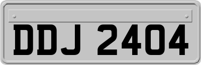 DDJ2404