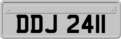 DDJ2411