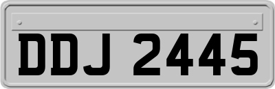 DDJ2445