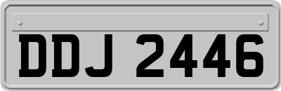 DDJ2446