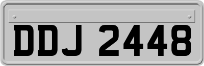 DDJ2448