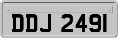 DDJ2491