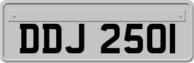 DDJ2501
