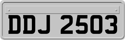 DDJ2503