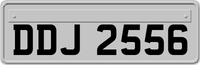 DDJ2556