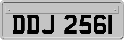 DDJ2561