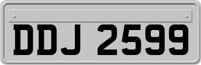 DDJ2599