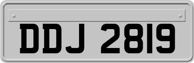 DDJ2819