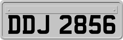 DDJ2856
