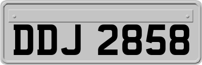 DDJ2858