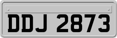 DDJ2873