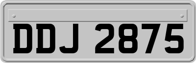 DDJ2875