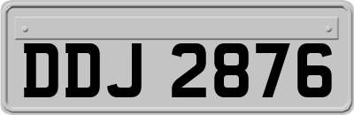 DDJ2876