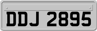 DDJ2895