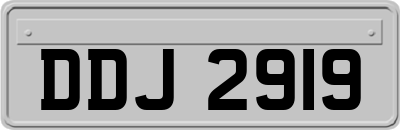 DDJ2919