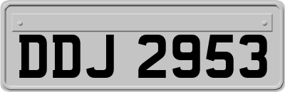 DDJ2953