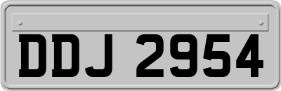 DDJ2954