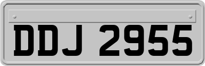 DDJ2955