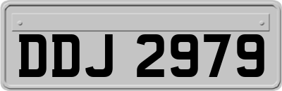 DDJ2979