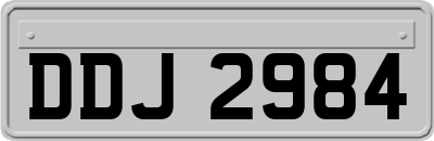 DDJ2984
