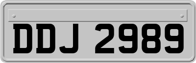 DDJ2989