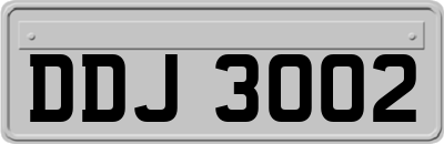 DDJ3002