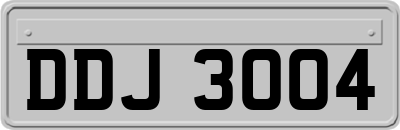 DDJ3004