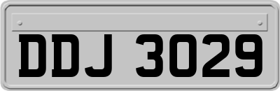 DDJ3029
