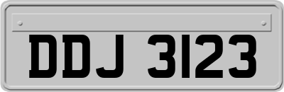 DDJ3123