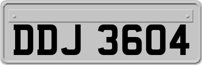 DDJ3604