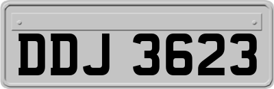 DDJ3623