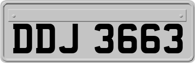 DDJ3663
