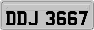 DDJ3667